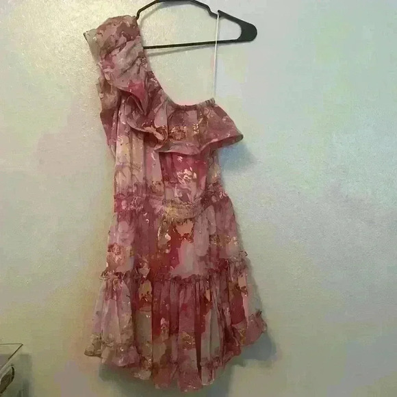 Buddy Love - Women’s Small - Sofia Dress - One Shoulder Pink/Gold - Picture 7 of 8
